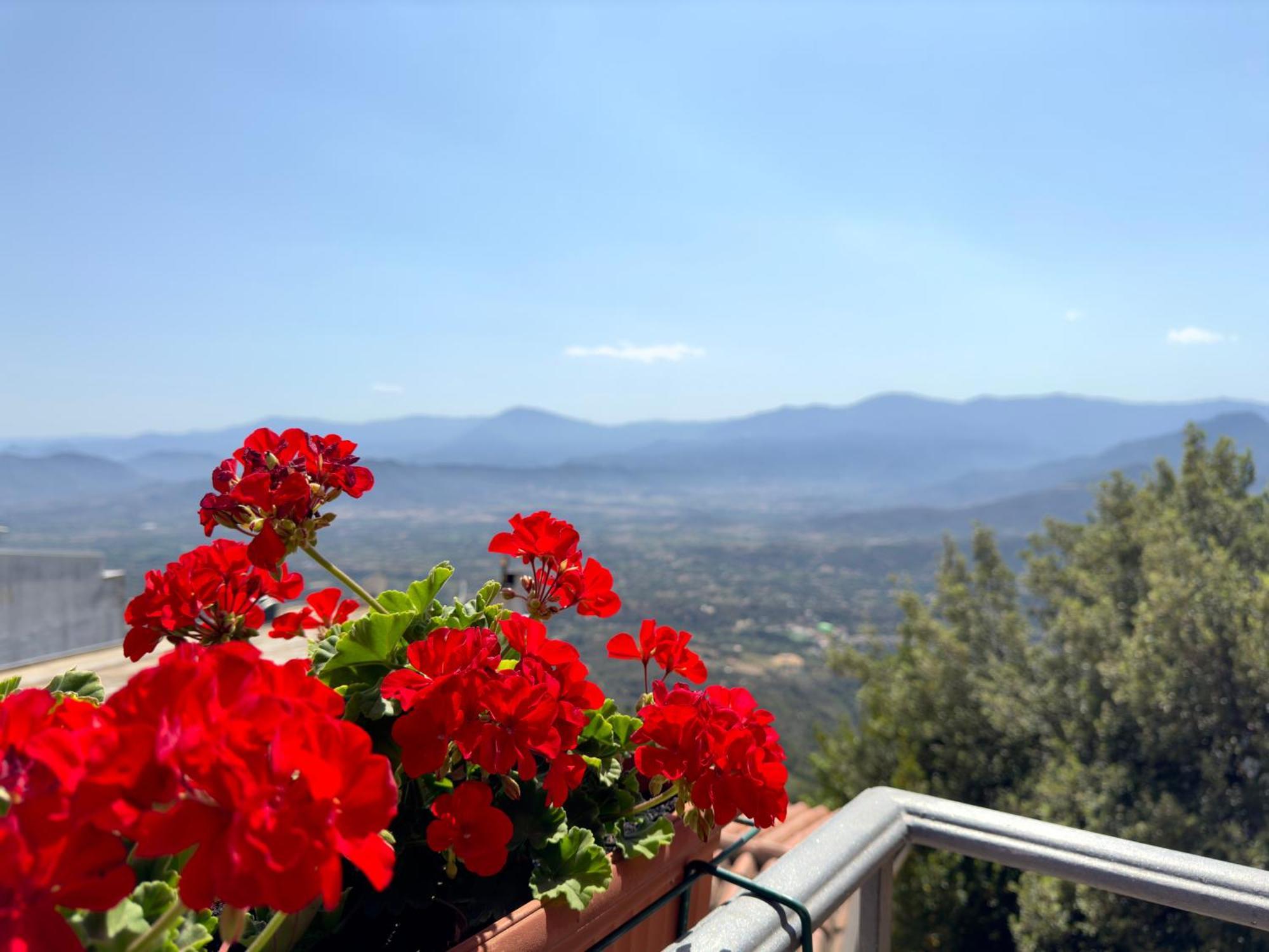 B&B Selvaggio Blu Baunei Exterior foto